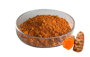 Natural Curcumin 95% Turmeric Extract Powder For Healthcare Supplement